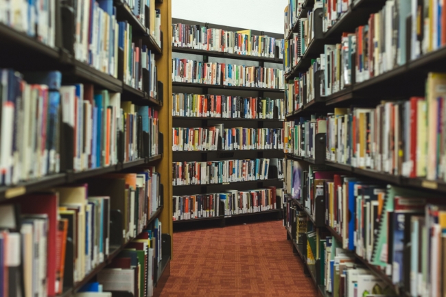 biblioteca mediares gestionali