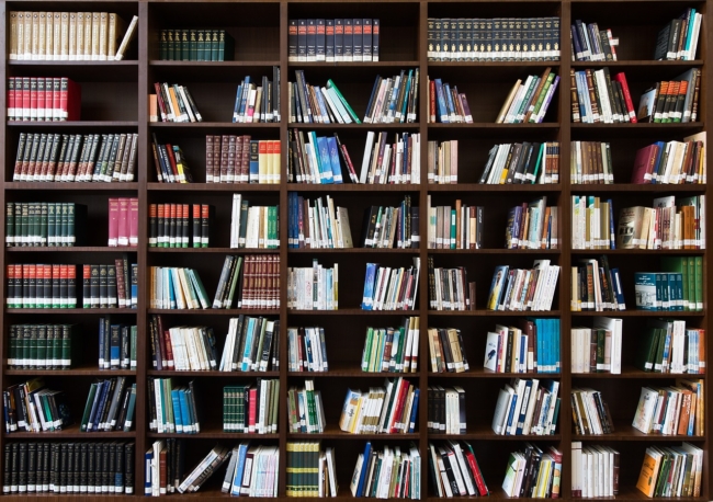 Programma per la gestione della biblioteca